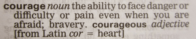 Screen Shot 2017-05-29 at 3.18.02 PM